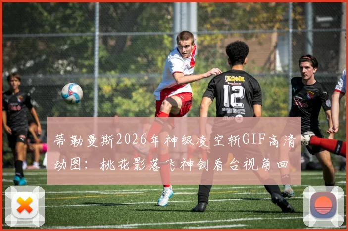 蒂勒曼斯2026年神级凌空斩GIF高清动图：桃花影落飞神剑看台视角回放，教你不停球抽射技巧