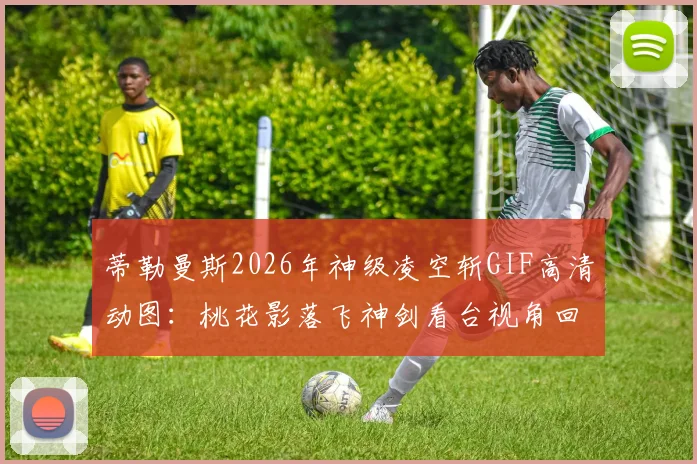 蒂勒曼斯2026年神级凌空斩GIF高清动图:桃花影落飞神剑看台视角回放,教你不停球抽射技巧